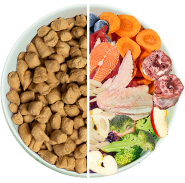 best price on wellness core dog food Wellness CORE Natural Grain Free Reduced Fat Dry Dog Food main image 1
