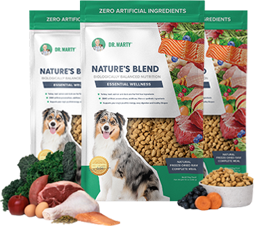dog food iams large breed Iams Proactive Health main image 1