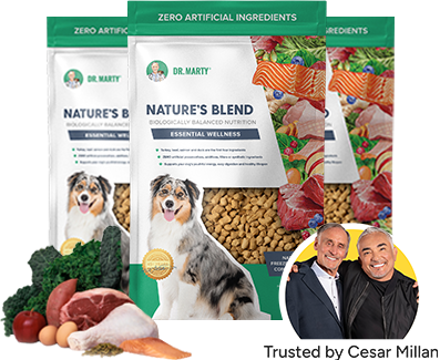 cheapest place to buy honest kitchen dog food The Honest Kitchen Grain Free Whole Food Clusters Dog Food - Beef main image 1