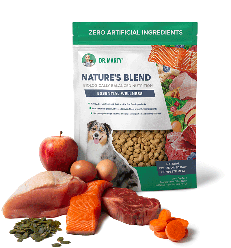 Dr Marty Goldstein Dog Food Sale Online Www sonnino info