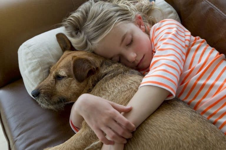 do-female-dogs-have-periods-dr-marty-answers