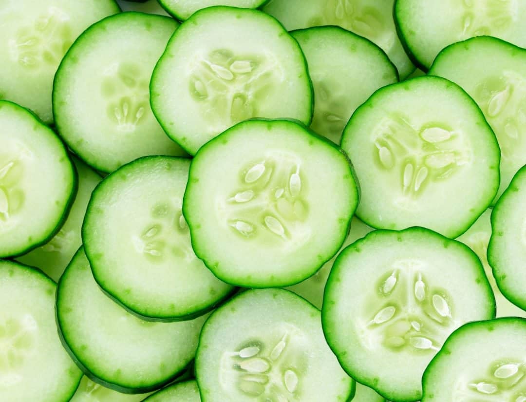 Cucumber for Dogs Is It Safe For Them To Eat? Dr. Marty Answers