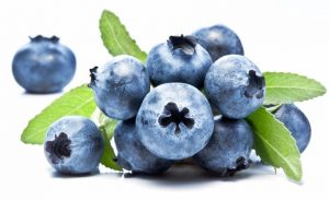 Human Food For Dogs: Can Dogs Eat Blueberries? | Dr. Marty
