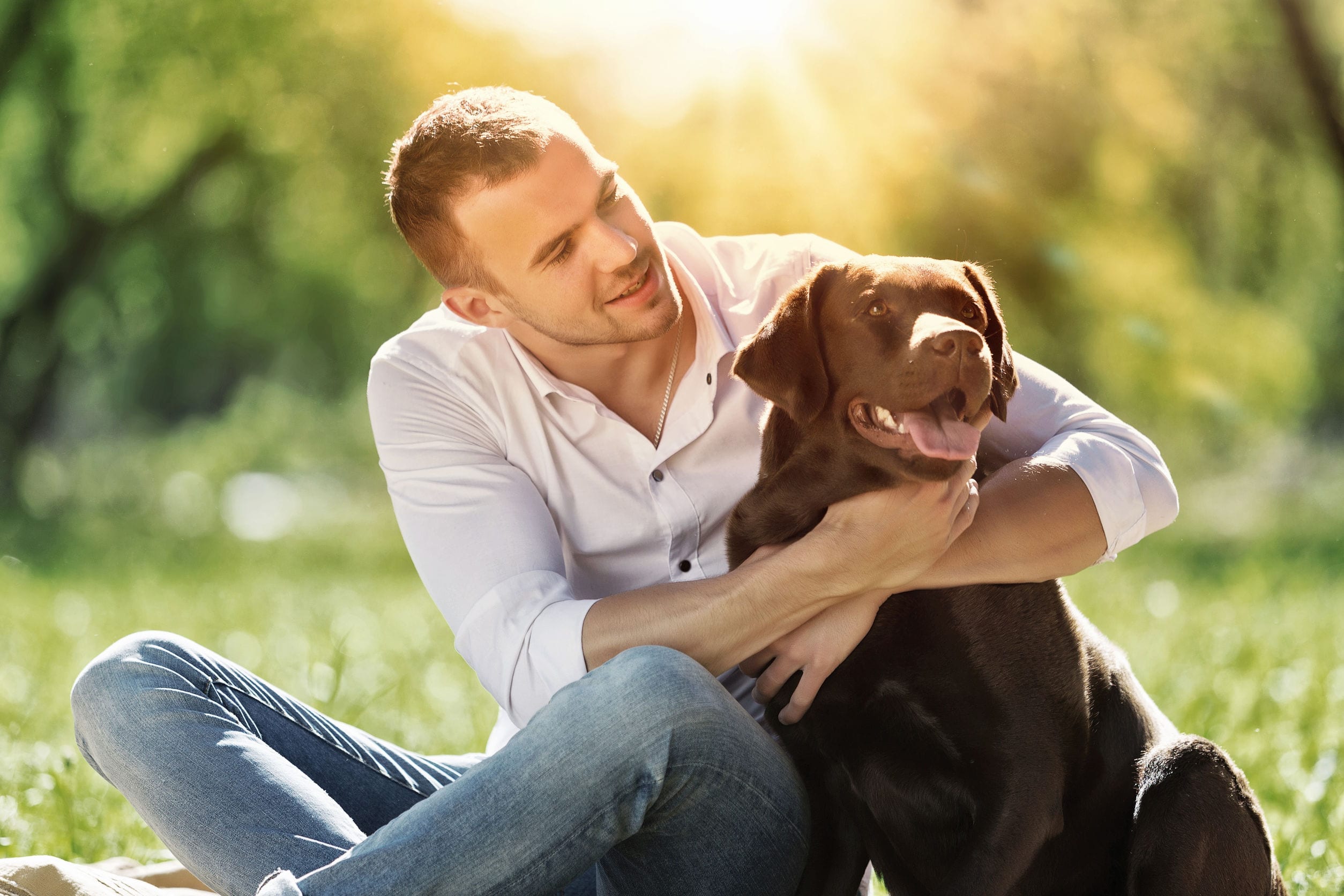 Everyone Loves a Lab Mix, But Why?