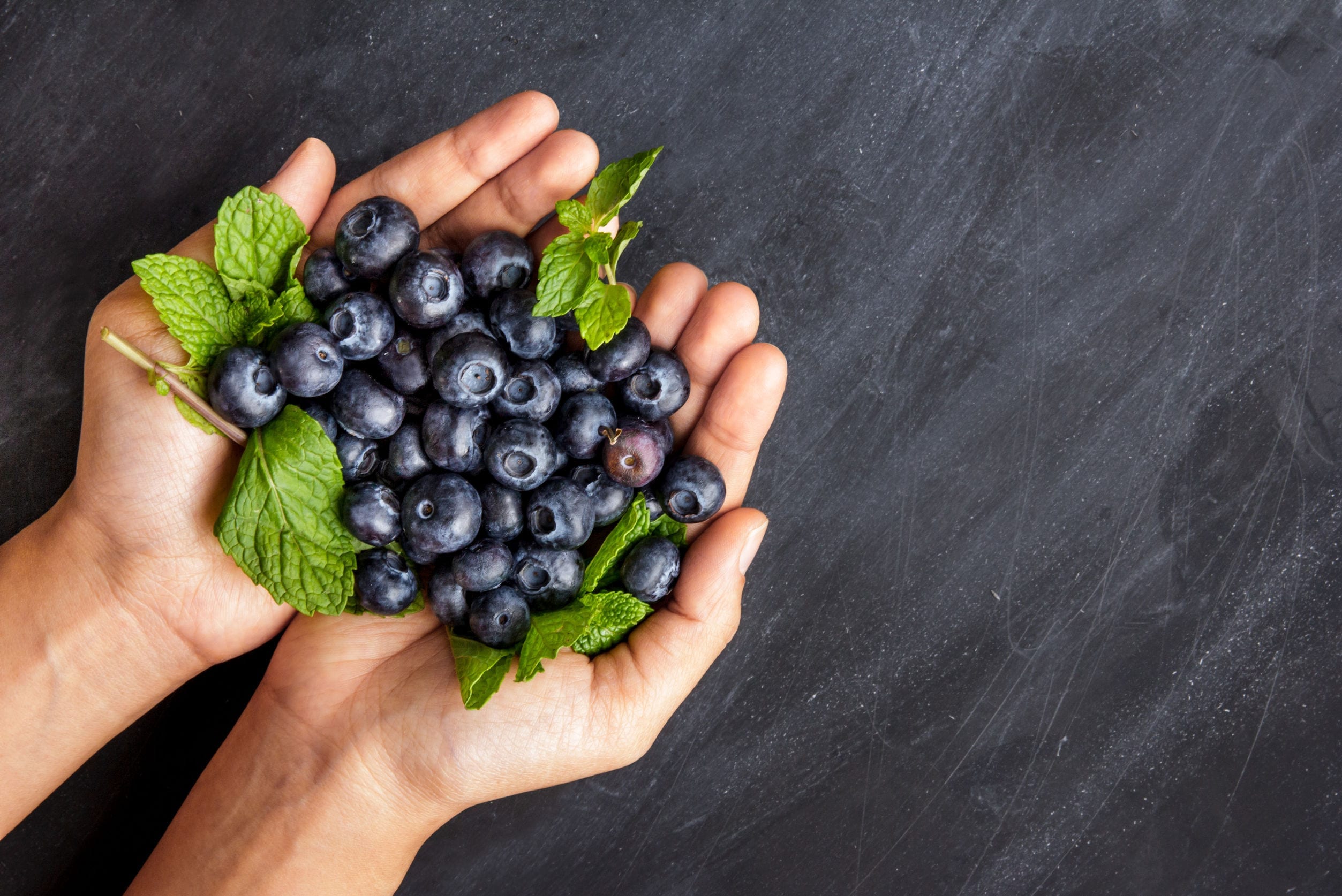Human Food For Dogs: Can Dogs Eat Blueberries?