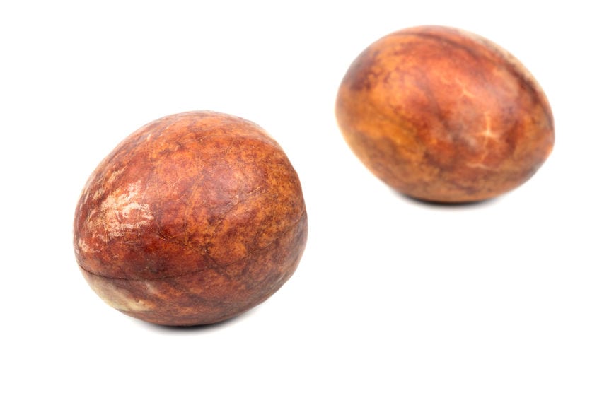 Can Dogs Eat Avocado? (here's the facts!) Dr. Marty Pets