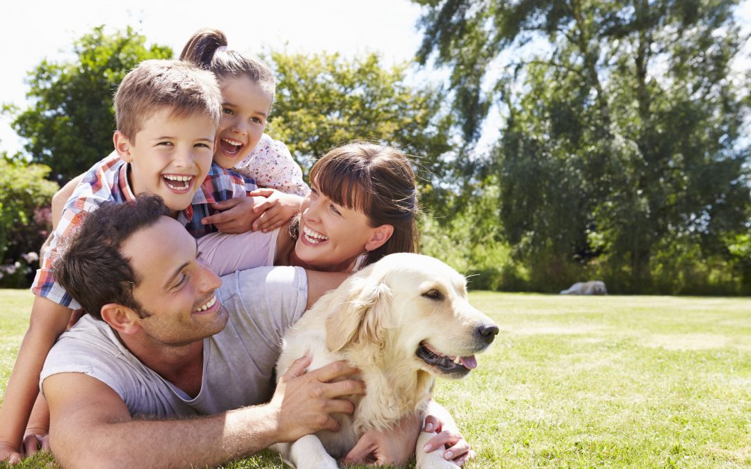 Facts About Dog Health Every Dog Parent Should Know