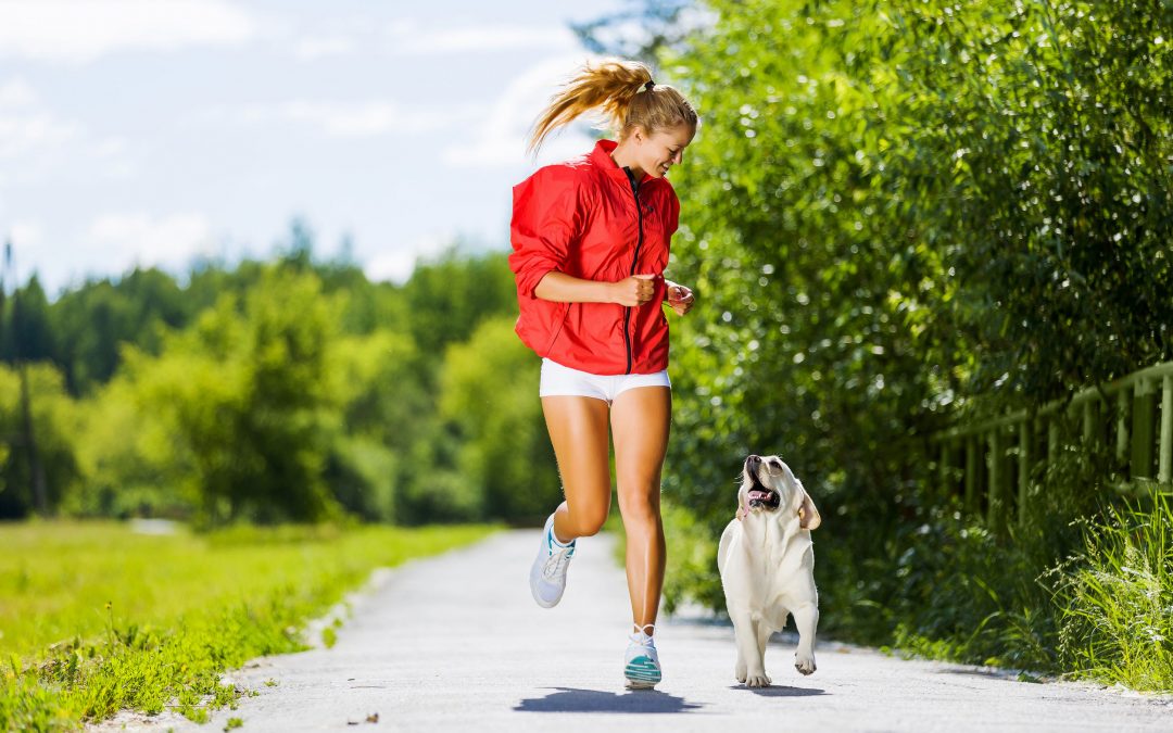 Dog Nausea – Natural Remedies for Relief