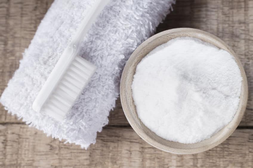 Cleaning Dog Urine the Natural Way Dr. Marty Pets