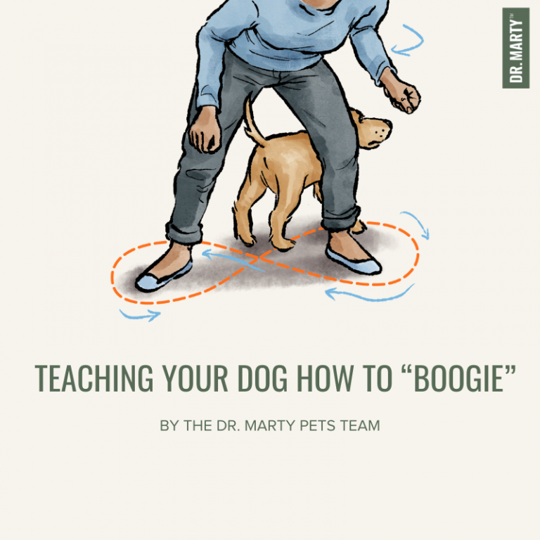 Teach Your Dog How to &ldquo;Boogie&rdquo; - Dr. Marty Pets