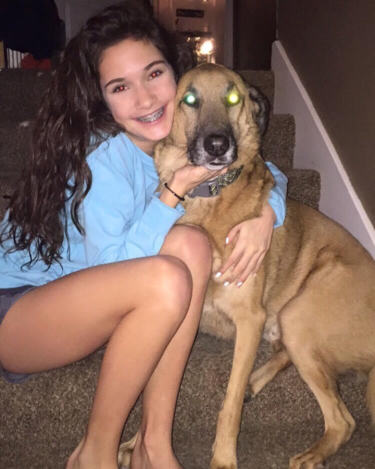 ProPower Plus Dr Marty Pets