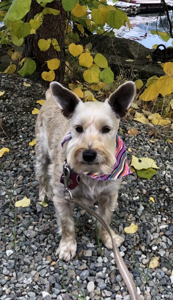 Dr. Marty Shine & Luster